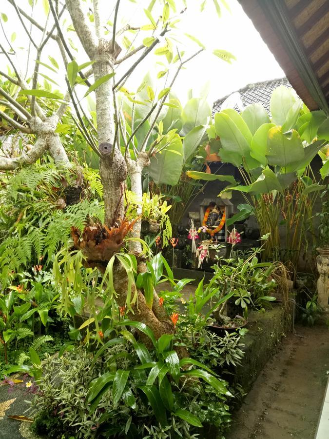 Krisda Ubud Guest House Exterior photo
